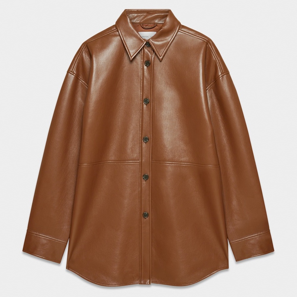 Aritzia Babaton Pelli Shirt Jacket